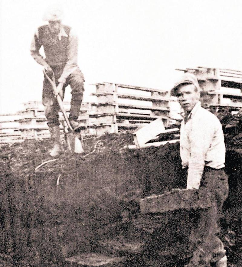 Au cours de la décennie 1940, ces deux travailleurs prélèvent la tourbe à la pelle. Rapport géologique 31. La tourbe dans Québec. Bibliothèque du Séminaire de Saint-Hyacinthe.