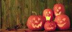 Chouette Halloween