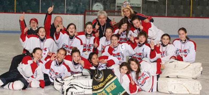 Le dimanche 22 janvier, l’Express du Richelieu pee-wee AA a remporté les grands honneurs du tournoi provincial de Saint-Hubert. Lors de son parcours sans défaite, l’Express a affronté les Harfang de l’Estrie, les Rafales de la Mauricie, les Remparts du Richelieu ainsi que les Elites du Lac Saint-Louis. L’Express est composé de joueuses venant de Saint-Hubert, Longueuil, Saint-Basile-le-grand, Verchères, Saint-Bruno, Saint-Hilaire, Saint-Hyacinthe, Boucherville et McMasterville. De droite à gauch