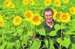 « Des tournesols plein les yeux » de retour pour une fin de semaine