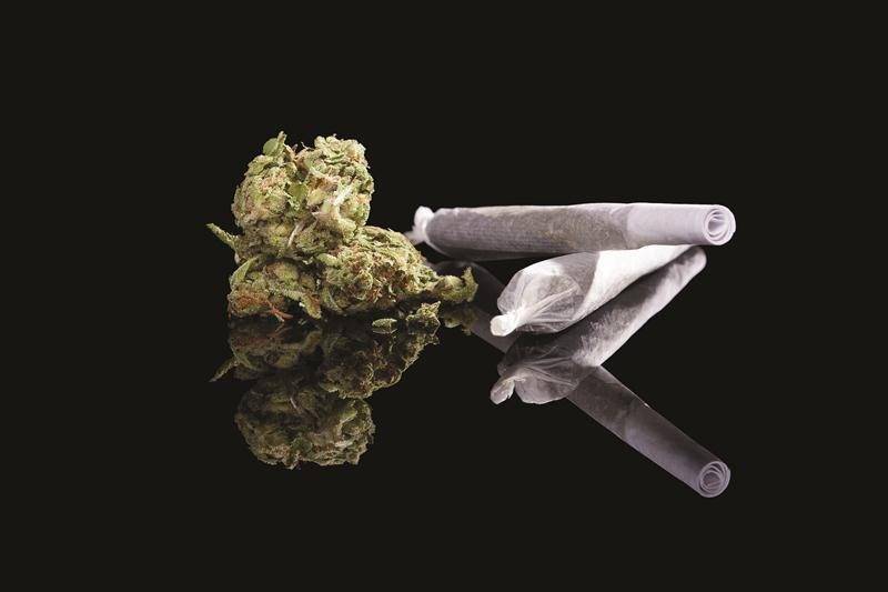 Légalisation du cannabis : la Santé publique se positionne