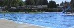 Ouverture des piscines municipales : accès gratuit
