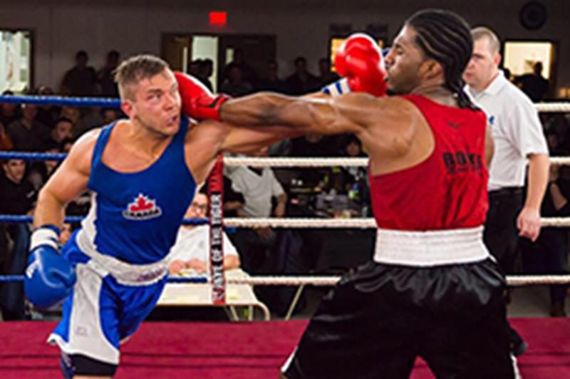 Franc succès pour Boxemania VIII