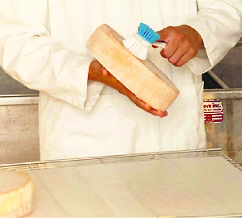 L’Institut de technologie agroalimentaire offre entre autres un programme pour les élèves ayant de l’intérêt pour le domaine de l’alimentation.