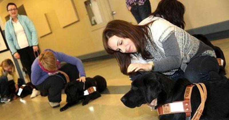 Des parents d'enfants TED ou TSA sont à l'entraînement avec le chien qui deviendra le meilleur compagnon de la famille.