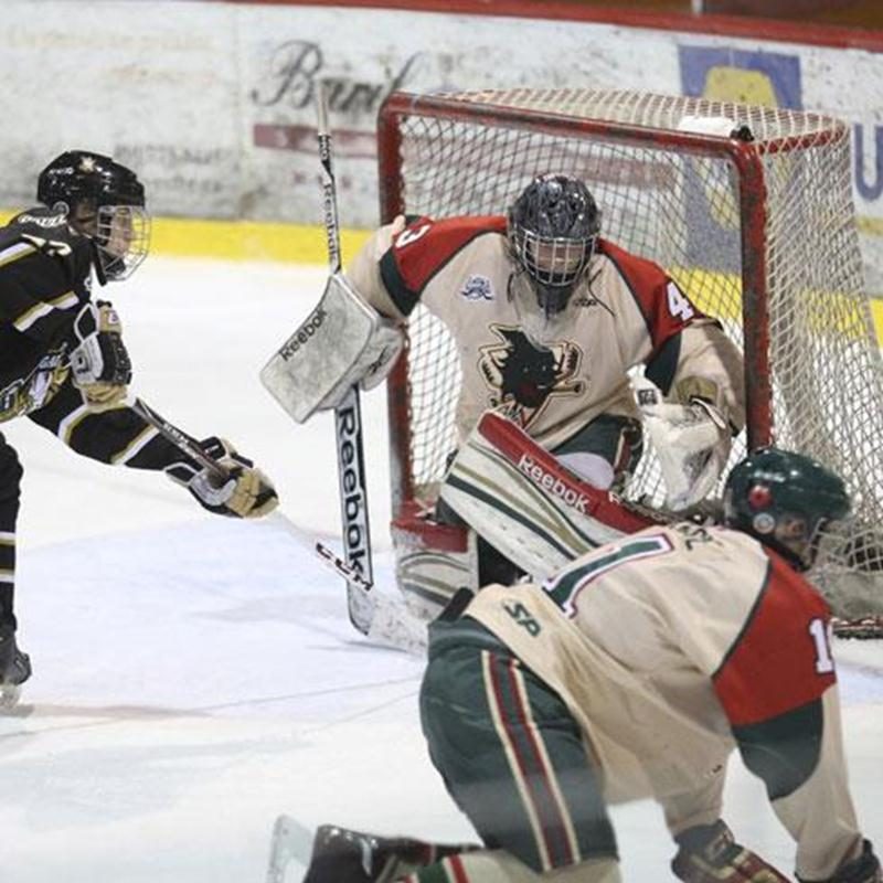 Les Gaulois ont signé leur seule victoire de la semaine dernière face aux Forestiers d'Amos samedi soir par la marque de 2 à 1.