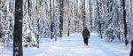 Profitez de l’hiver pour prendre l’air et participer au Défi Santé!
