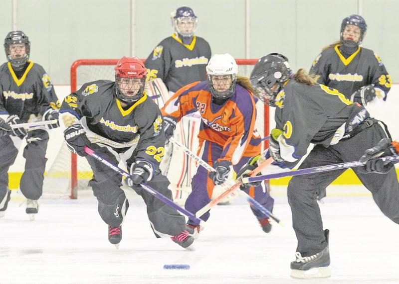 Ringuette Saint-Hyacinthe a dépassé la centaine de joueuses au cours de la dernière saison.  Photothèque | Le Courrier ©