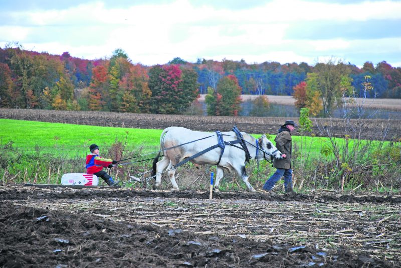 Le Festival du Labour de Saint-Valérien-de-Milton sera de retour le samedi 14 octobre, sur le 10e Rang, avec des activités mettant en valeur les traditions agricoles. Photo courtoisie Festival du Labour