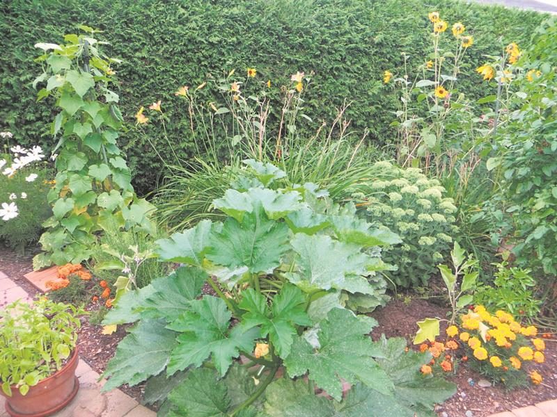 L’agriculture urbaine, c’est quoi?