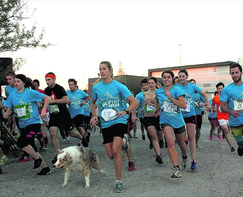 Les participants sont invités à courir ou à marcher avec leur chien le 29 septembre dans le cadre de la journée mondiale contre la rage.