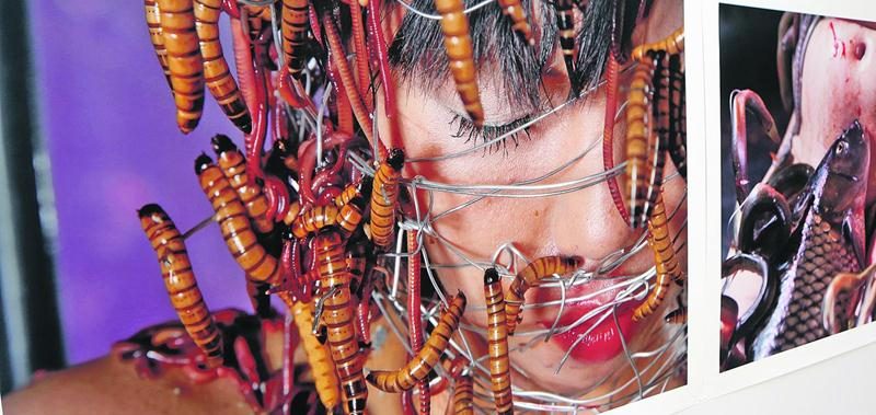 Daikichi Amano a exploré, à travers la photographie, les thèmes de la voracité érotique et l’animalité humaine. Photo Robert Gosselin | Le Courrier ©