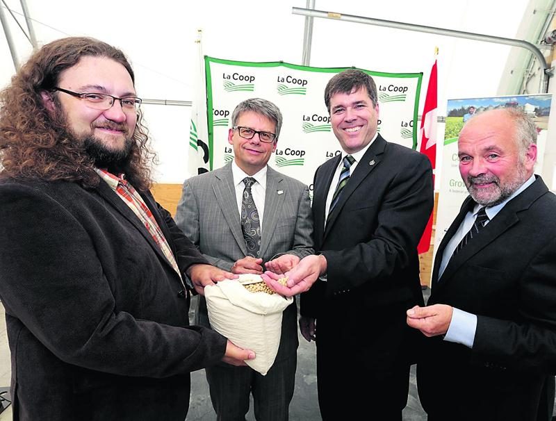 Sur la photo dans l’ordre habituel, Jérôme Auclair, sélectionneur amélioration végétale à La Coop fédérée; Gaétan Desroches, chef de la direction de La Coop fédérée; Pierre Lemieux, secrétaire parlementaire et Laurent Bousquet, président de Grains Elite. Photo Robert Gosselin | Le Courrier ©