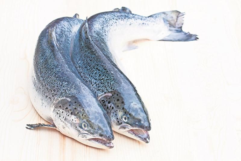 Les réclamations farfelues de la crise du verglas