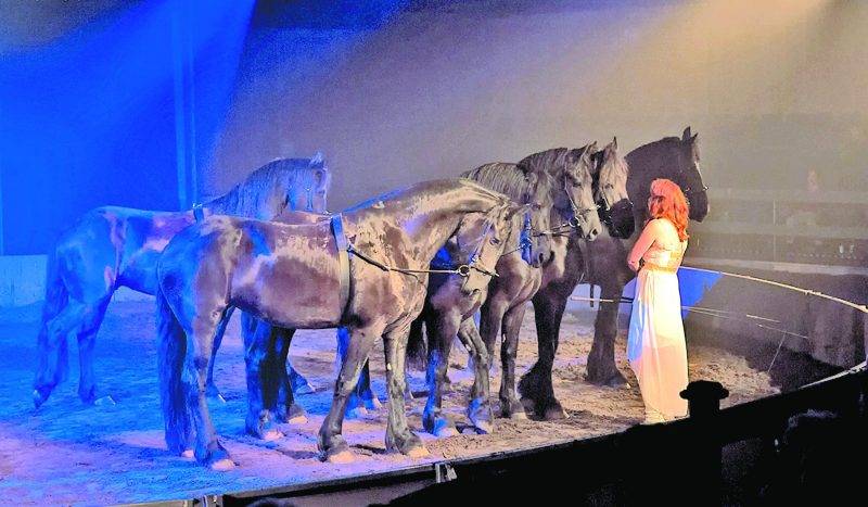 Sur la photo, Maryse Bérubé exécute un numéro de liberté avec six chevaux frisons pour le spectacle de Caval’Art de l’année dernière. Pierre Robinson