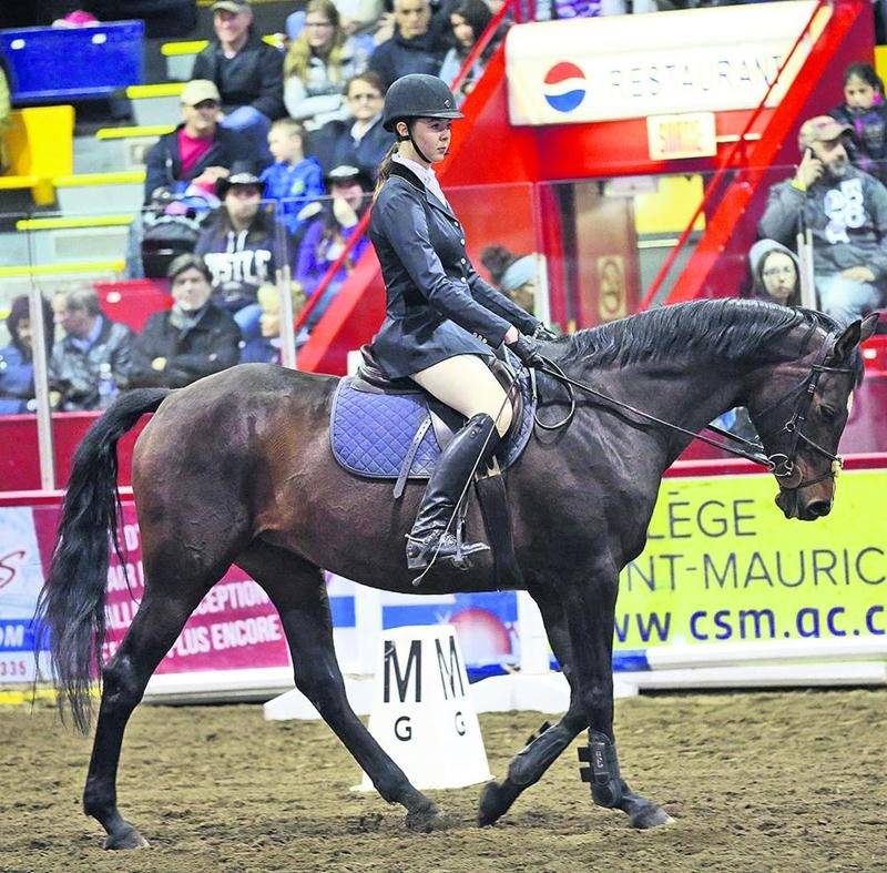 Pour une première fois, le Salon du cheval présentait un concours complet : concours combiné, avec épreuve de saut avec obstacles de cross.