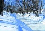 « Les pistes, les traces et les os »