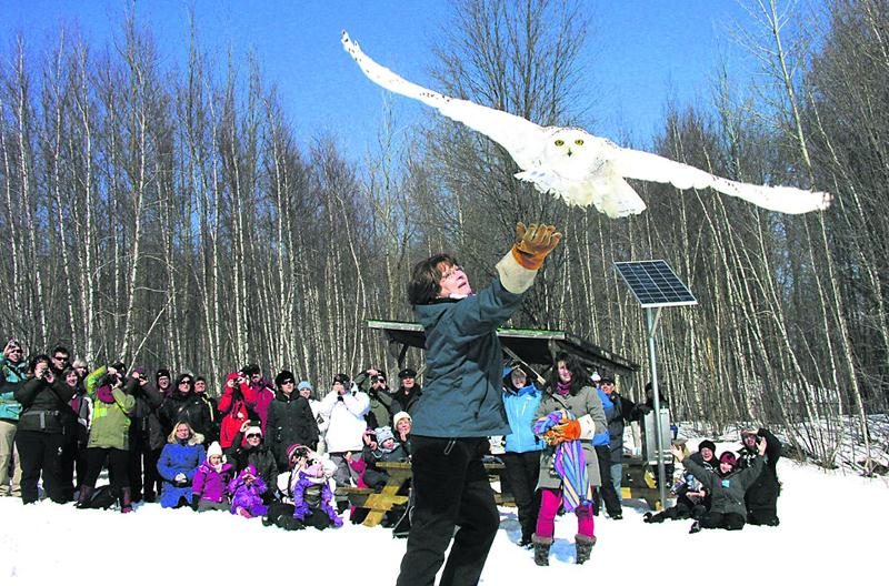 Petits et grands sont invités à participer à la Journée blanche à Chouette à voir! le 28 février.