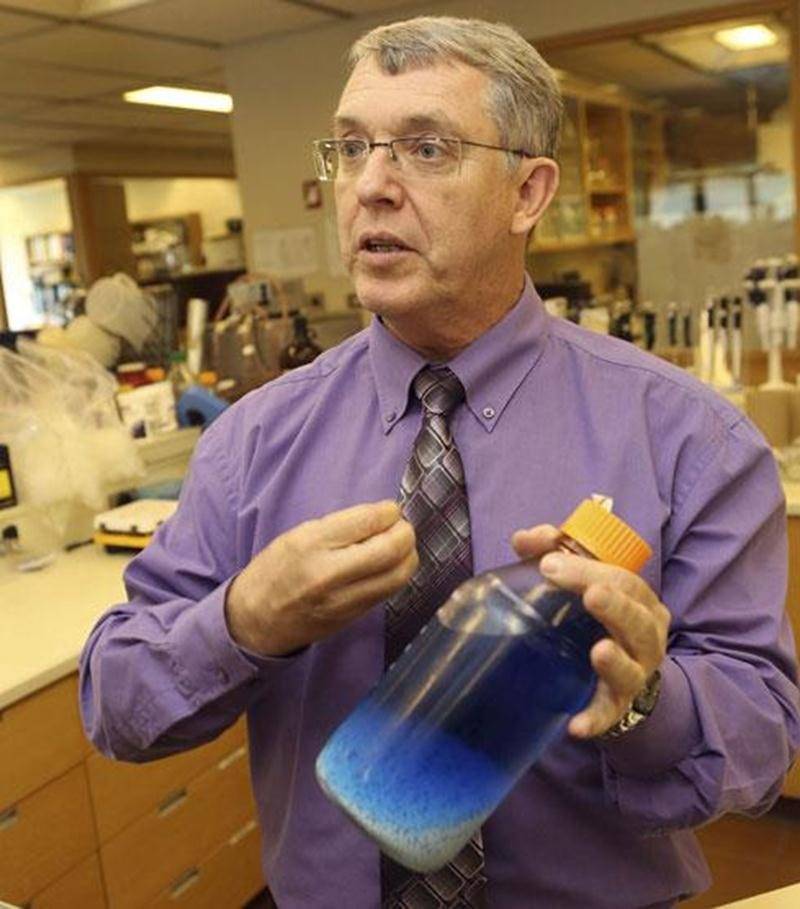 Claude Champagne, chercheur au Centre de recherche et de développement sur les aliments (CRDA), tient dans ses mains un bocal contenant des billes d'alginate.