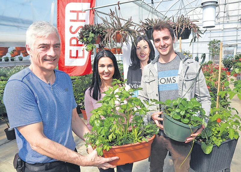 Le professeur François Ducasse, la députée Chantal Soucy et l’étudiant Charles Côté tiennent des petits jardins urbains créés avec soin par les étudiants de l’EPSH et qui seront distribués gratuitement à une centaine de résidents de la circonscription de Saint-Hyacinthe.