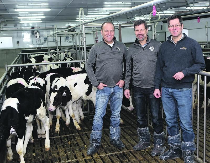 Sur la photo, dans l’ordre habituel, les frères Donald, Fabien et Alexandre Fontaine copropriétaires de Délimax, le plus important producteur et distributeur de veau de lait, de veau de grain et d’agneau en Amérique du Nord. Photo Robert Gosselin | Le Courrier ©
