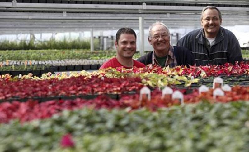 Michel Lafortune Rivest, Luc et Yves Rivest, des Serres de l'Éden