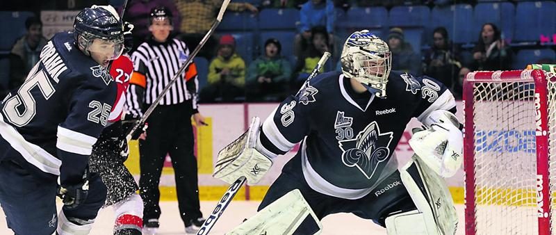 Philippe Desrosiers et l’Océanic de Rimouski connaissent un début de saison à la hauteur des attentes en trônant au sommet du classement de la LHJMQ. Photothèque | Le Courrier ©