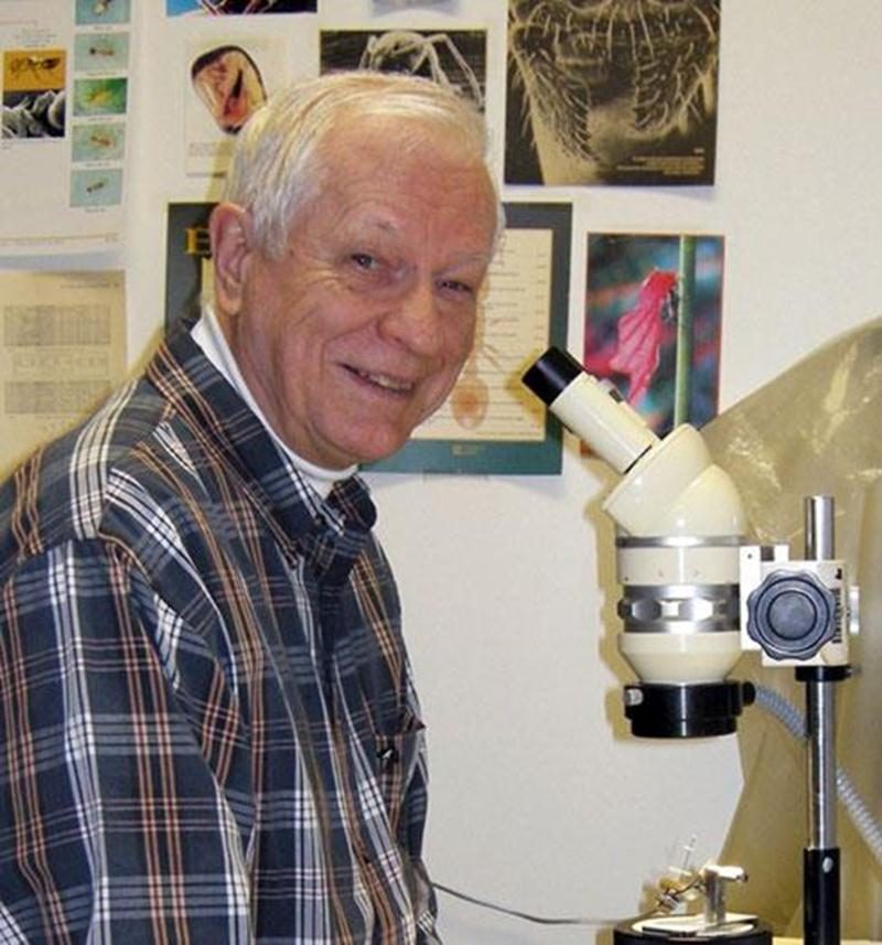 André Francoeur, professeur émérite de l'Université du Québec à Chicoutimi, est l'expert invité pour une journée de formation sur les fourmis.