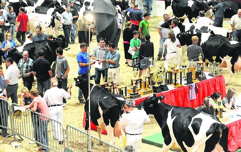 La première édition de l’international « Suprême Laitier » de Saint-Hyacinthe se tiendra du 4 au 8 novembre sur le site de l’Exposition agricole.
