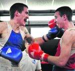 Une grande soirée pour les Apprentis Champions