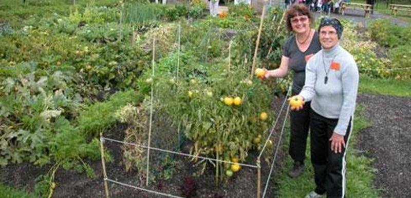 Parcelles de jardin à louer pour jardiniers amateurs lors de l’assemblée générale annuelle de l’Association Jardin-Communautaire de Saint-Hyacinthe le dimanche 4 mai, à 9 h 30, à la salle Sacré-Coeur (2 e étage) du Centre aquatique Desjardins (850, rue Turcot). La carte « Accès-Loisirs » valide est nécessaire pour la location de terrains. Pour information, écrire à Julie Fréchette à frechettejulie@cgocable.ca ou par téléphone au 450 768-4340.