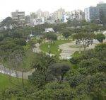 Pas de lamas à Lima