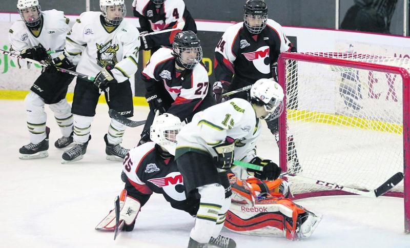 Les Gaulois ont savouré une victoire de 4 à 2 face au Cantonniers de Magog, samedi, au Complexe Sportscene. Photo Robert Gosselin | Le Courrier ©