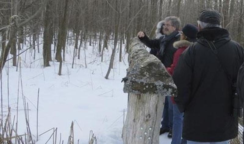 À la recherche des lichens. Fruticuleux, foliacés et crustacés… trois formes communes de lichens. Tous ces genres et bien d'autres s'observent au Boisé-des-Douze. Si nous savons les identifier, saurons-nous les trouver? Et si nous étions capables de trouver des espèces plus rares de cet univers captivant! Débutant ou expert, n'hésitez pas à vous joindre au groupe. C'est avec plaisir que nous apprenons les uns des autres. Point de rencontre : stationnement de la rue Brouillette dès 9 h. Tarif : c