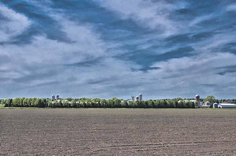 La région de Saint-Hyacinthe est reconnue pour ses sols argileux, mais on y retrouve aussi des terres noires précieuses, mais vulnérables face au vent et à l’eau. Une culture pérenne, le bleuet, a été préférée aux cultures annuelles traditionnelles. En plus d’aider à contrôler les mauvaises herbes, le paillis et les sentiers gazonnés protègent le sol de l’érosion.