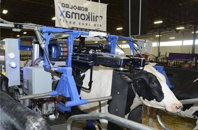 Le robot de traite Roboleo peut prendre en charge jusqu'à 70 vaches.
