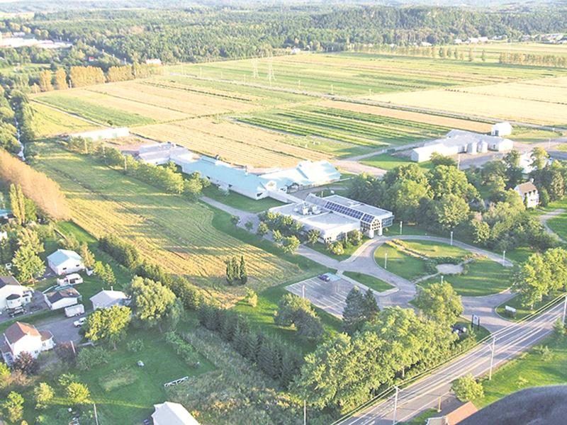 Malgré la faillite, Les Laboratoires du Saint-Laurent devraient continuer à faire partie des locataires du CDBQ, un centre de recherche privé de La Pocatière, mais sous la raison sociale Laboratoire LSL.