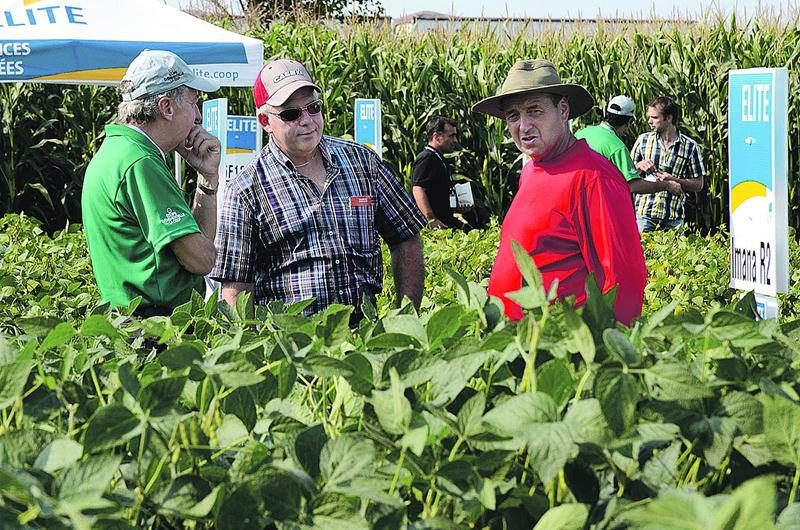 Les nouveautés dans le domaine des semences sont toujours attendues par le milieu agricole. Photo François Larivière | Le Courrier ©