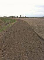 Plus de 15 hectares seront aménagés en 2017 