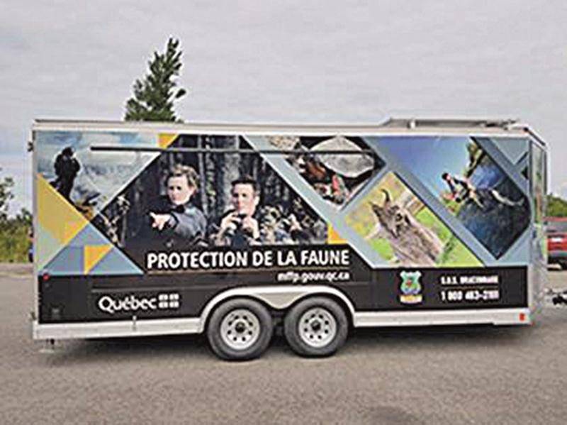 Le 150e de la Protection de la faune du Québec à Chouette à voir!