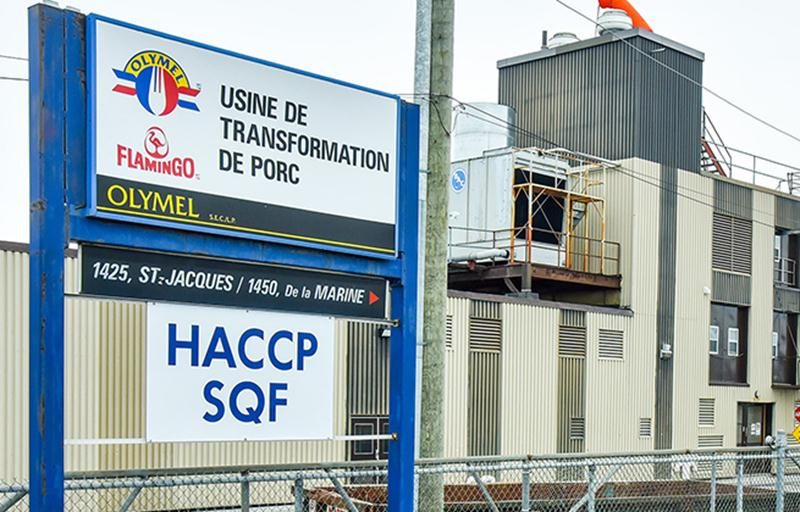 Au matin du vendredi 29 septembre, jour de la cessation des opérations de désossage de fesses de porcs à l’usine Olymel de Saint-Hyacinthe, l’ensemble des employés mis à pied avait déjà déserté les lieux.  Photo François Larivière | Le Courrier ©