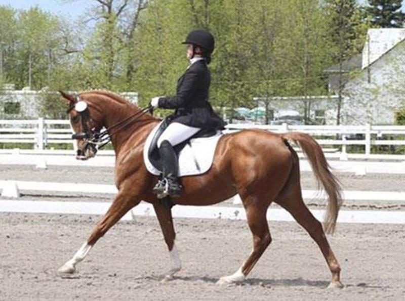 Mélissa et O'phélie tenteront de séduire le jury au Championnat nord-américain pour juniors et jeunes cavaliers.