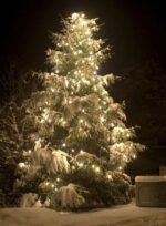 Autres concerts et spectacles à l’approche de Noël