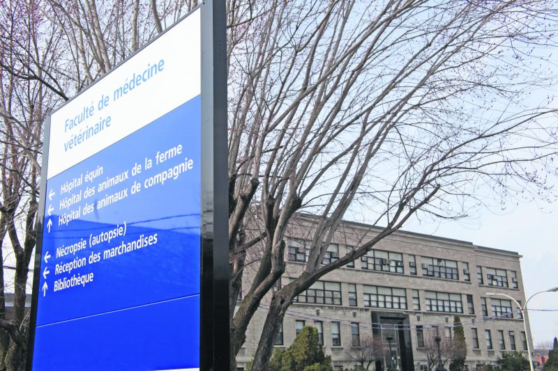 En rendant publique son offre finale aux cliniciens, l’Université de Montréal a apparemment tenté de « forcer la main du syndicat en influençant directement ses membres », indique la décision. Photothèque | Le Courrier ©