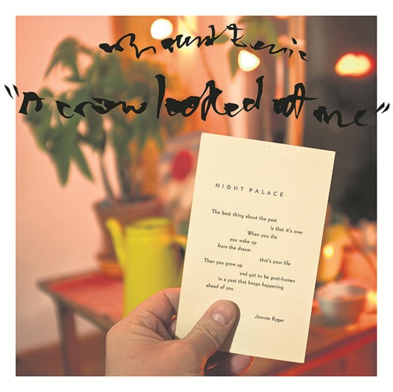 Mount Eerie - A Crow Looked at Me