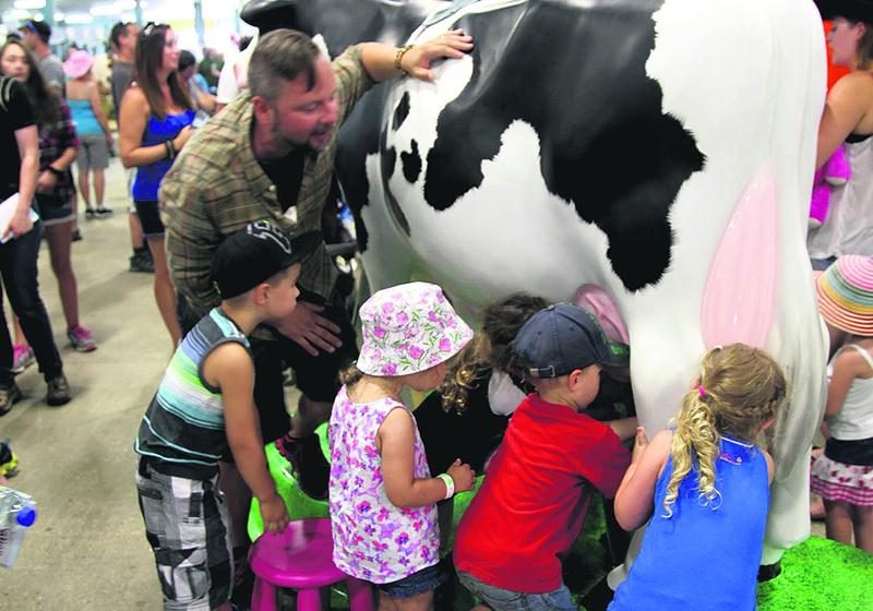 La vache mécanique a piqué la curiosité des enfants qui pouvaient s’exercer à la traite. À la différence d’un animal réel, on avait remplacé le lait par de l’eau. Photo Robert Gosselin | Le Courrier ©