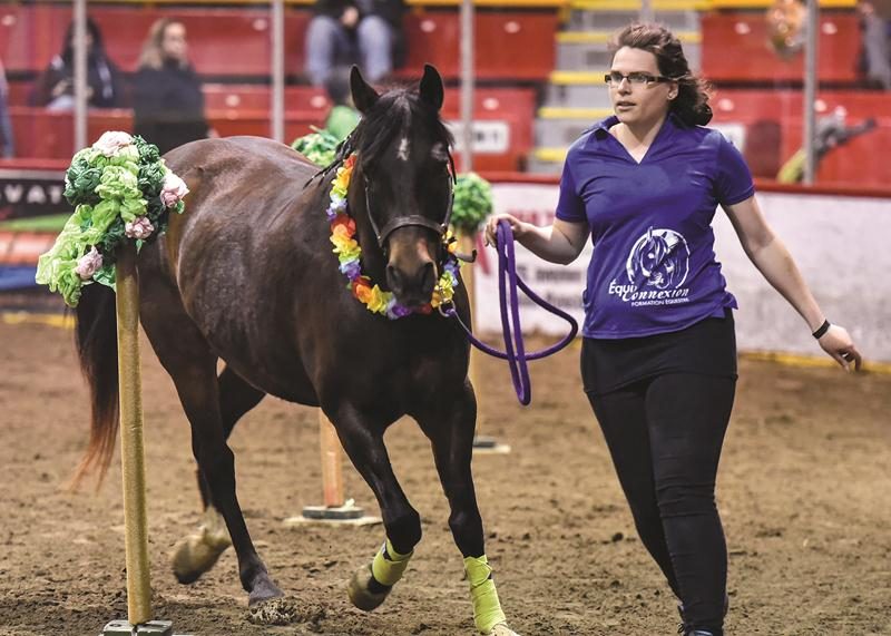 Plus de 15 500 visiteurs ont foulé les terrains du site de l’Expo pour la troisième édition du Salon du cheval en sol maskoutain. Pour l’occasion, la diversité était à l’honneur avec plusieurs démonstrations, conférences et performances, que ce soit l’agilité équine (photo ci-contre), le débardage en forêt, les courses de cowboys extrêmes, les poney games, l’équi-yoga ou le secourisme équin.   Photos François Larivière | Le Courrier ©