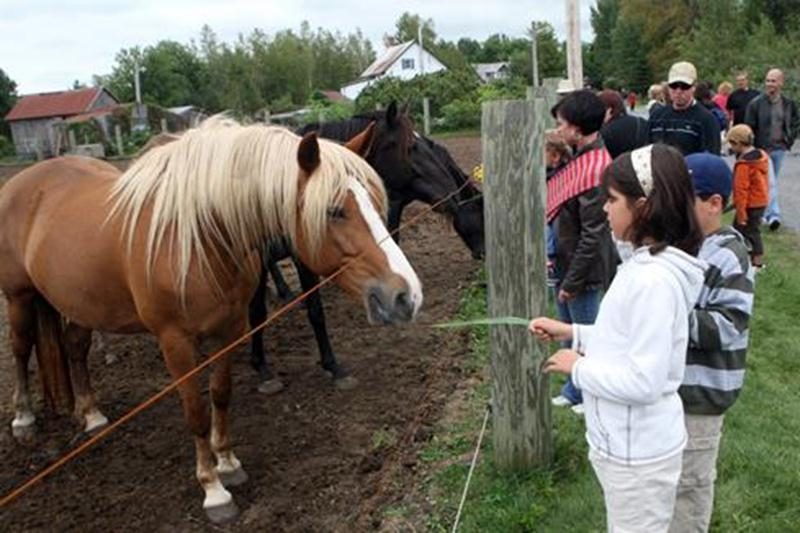 Ne manquez pas une occasion en or de visiter gratuitement, en couple ou en famille, l’une ou plusieurs des 16 fermes participant dans la région à la journée Portes ouvertes sur les fermes du Québec, le dimanche 11 septembre, de 10 h à 16 h.