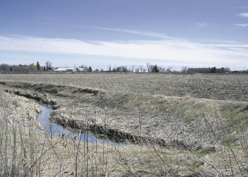 Au lieu de 50 hectares, c’est un dézonage réduit à 22 hectares qui est maintenant proposé pour l’agrandissement du parc industriel Olivier-Chalifoux, dans le secteur ouest de Saint-Hyacinthe, là où coule le ruisseau Plein Champ. Photo archives | Le Courrier ©