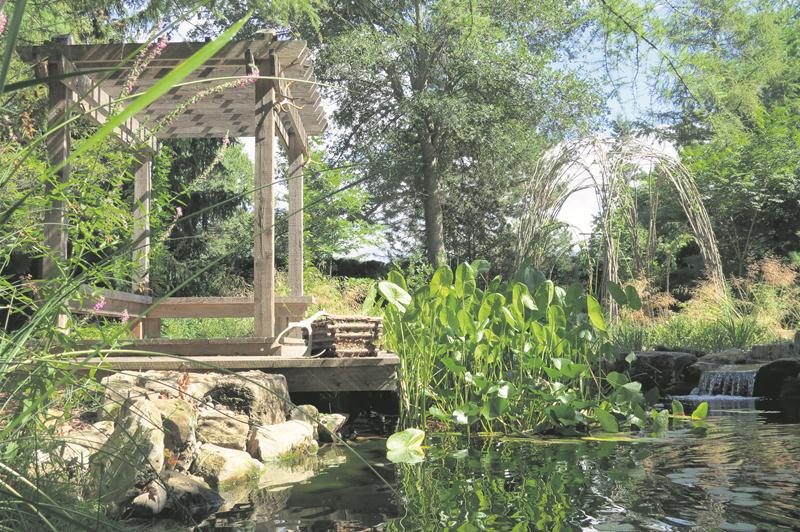 Le jardin « Ista » a remporté le premier prix de l’APPQ dans la catégorie « Jardins de la relève ».